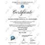 Trampolim 8 Molas Alto Rendimento - Certificado FIG - Gaofei 