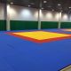 Tatame Judô Olímpico 50mm - Certificado IJF - Taishan Sports