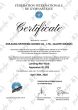 Conjunto De Colchões Para Cavalo com Alças Para Ginástica Artística - Certificado FIG